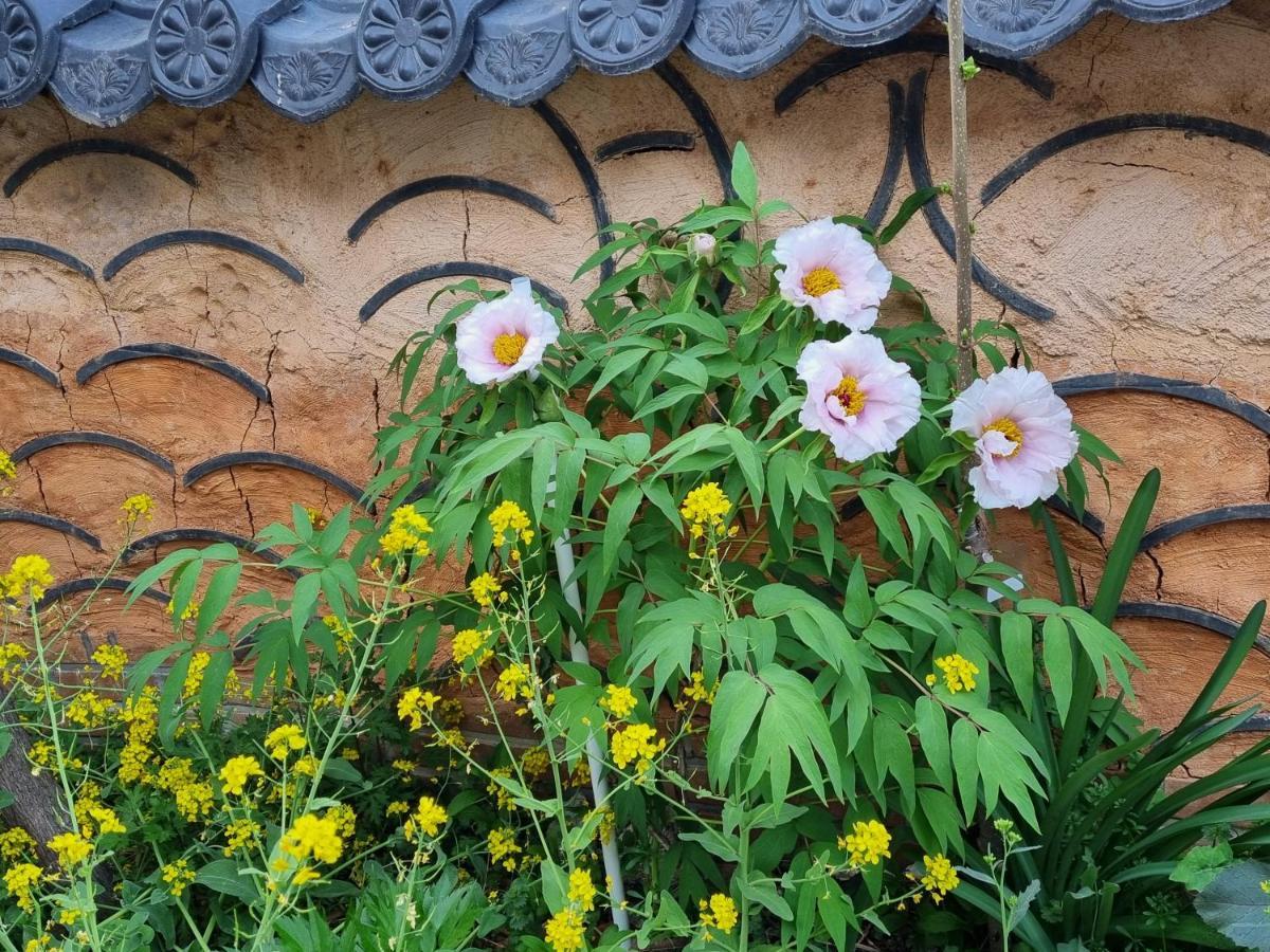 Dasomchae Hanok Stay Gwangju Metropolitan City Εξωτερικό φωτογραφία